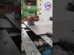 Lunghezza 4m Acciaio pre-galvanizzato Diamante di sicurezza presa di scalinata battistrada