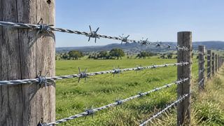 Filo spinato per il mercato africano | Cavo di sicurezza anti-scavalcamento zincato a caldo