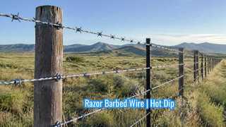 Filo spinato rasoio | Cavo di sicurezza anti-arrampicata zincato a caldo